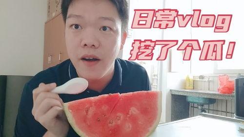 vlog和吃瓜,揭秘娱乐圈吃瓜背后的故事