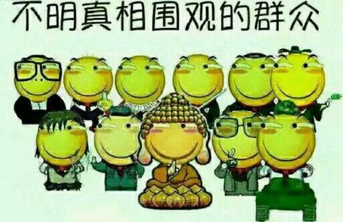 吃瓜群众龙图,揭秘吃瓜群众的神秘世界