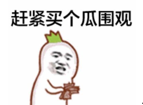 吃瓜群众龙图,揭秘吃瓜群众的神秘世界