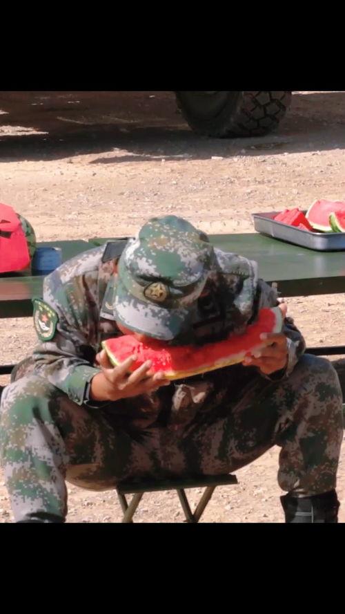 兵哥哥吃瓜日常,军营里的欢乐时光