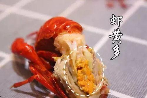 吃龙虾可以吃白瓜吗,夏日海鲜新搭配