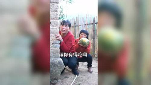 相亲吃瓜事件,一场意外的“甜蜜”风波