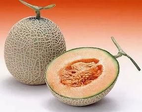 水果密瓜怎么吃,探索夏日水果新吃法