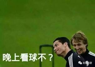 吃瓜看球教练视频下载,下载攻略全解析