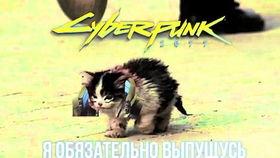 卷毛在哪里吃瓜,揭秘瓜果乐园的秘密