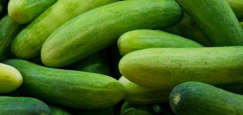 什么瓜吃坏身体,揭秘“吃坏身体”的瓜类真相