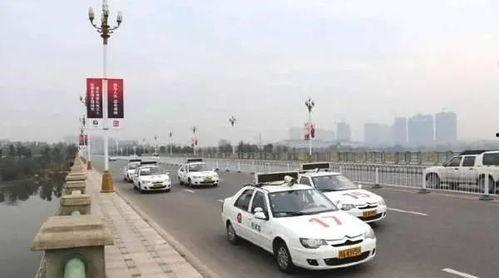 科目三带你吃瓜,科目三带你领略瓜界风云