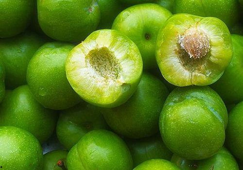 李子吃瓜,揭秘瓜果界的甜蜜诱惑