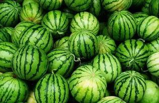 蔡金发吃瓜群,揭秘娱乐圈幕后风云