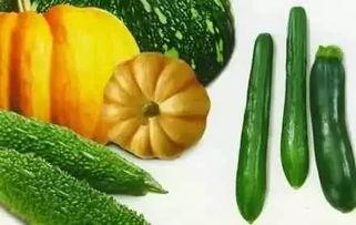 金绞瓜怎么吃,解锁美味新体验