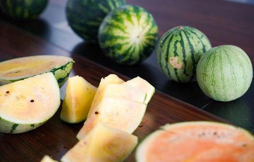 浙江中信吃瓜,揭秘背后真相与网络舆论风暴