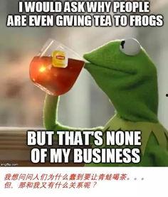 青蛙吃瓜吗,它们真的会吃瓜吗？