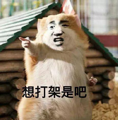 看吃瓜吵架,网络吵架背后的社会现象解析