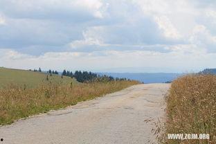 梦见山顶摘太阳瓜吃,山顶摘得太阳瓜，探寻神秘梦境的奥秘
