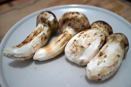 松茸吃后面瓜吃行吗,探索味蕾新境界