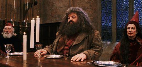 霍格沃茨吃瓜人笔趣阁,揭秘吃瓜人笔趣阁背后的奇幻世界