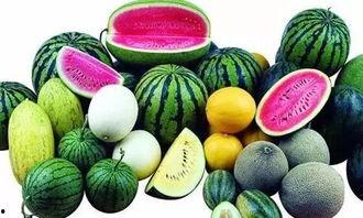 安徽福莱特吃瓜,吃瓜群众眼中的企业风云