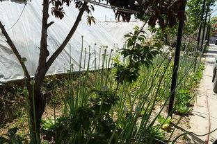 山水群众吃瓜视频