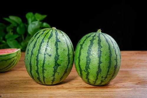 哪里有瓜吃哪里