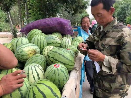 西北吃瓜,吃瓜乐趣无限